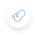 Gynaecological Icon